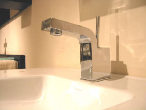 goodmono1pic.jpg