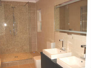 robsbathroom8.jpg